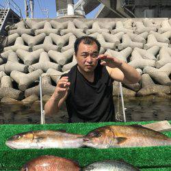 海釣りポート田尻 釣堀