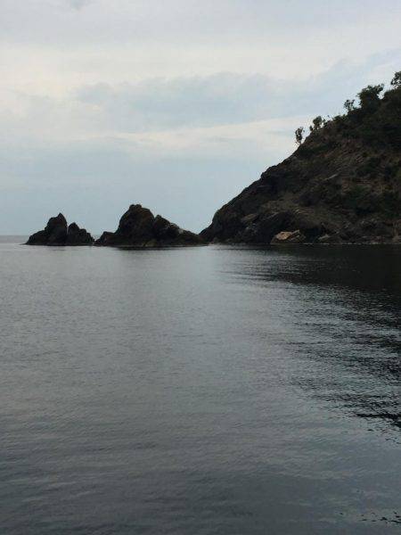 今年初ｱｵﾘｲｶ