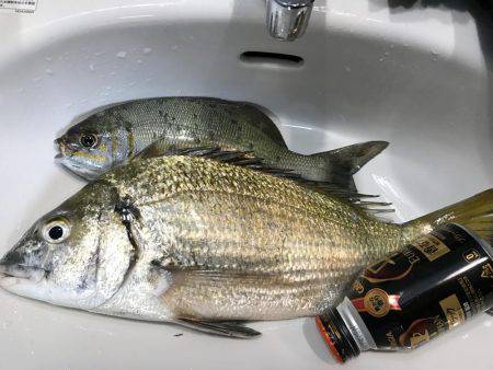 沖縄県今帰仁村でフカセ釣り