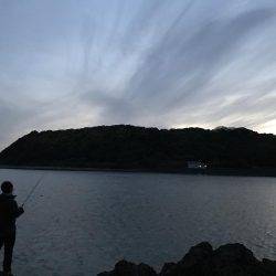 串本でエギング アオリイカ