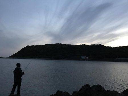 串本でエギング アオリイカ