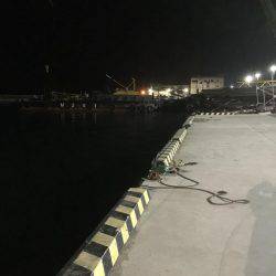 アナゴ釣りの後に・・・。