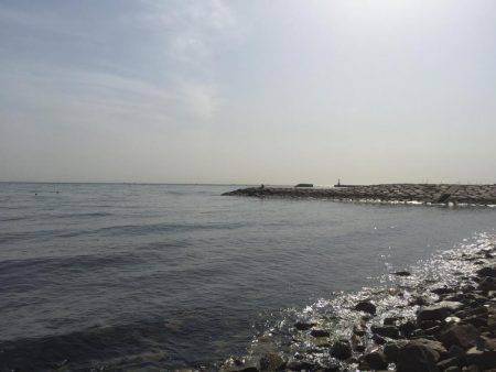 ガシラ釣り入門