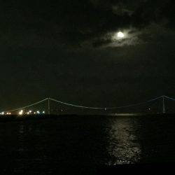 メバルが食べたくて！