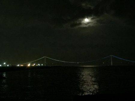 メバルが食べたくて！