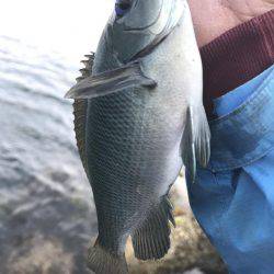 角島フカセ釣り撃沈。。。