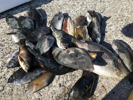 見島 沖磯フカセ釣り