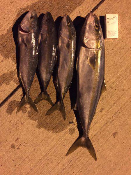 ショアジギング