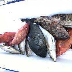 沖ノ島磯フカセ釣り