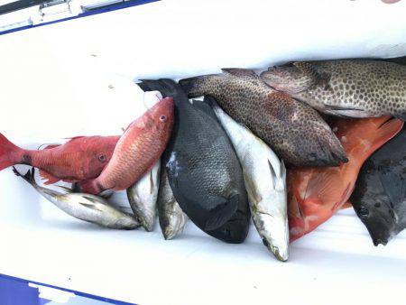 沖ノ島磯フカセ釣り