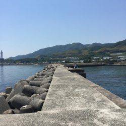 淡路島釣り合宿