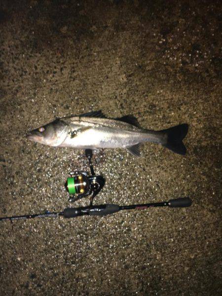 メバリングタックルでシーバス