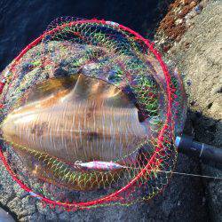 単身赴任釣行記 夢の大台❗️