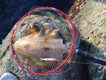 単身赴任釣行記 夢の大台❗️