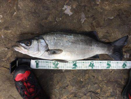 まだ釣れた⁉️