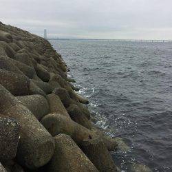 久しぶりの人工島