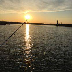 仕事終わりからの