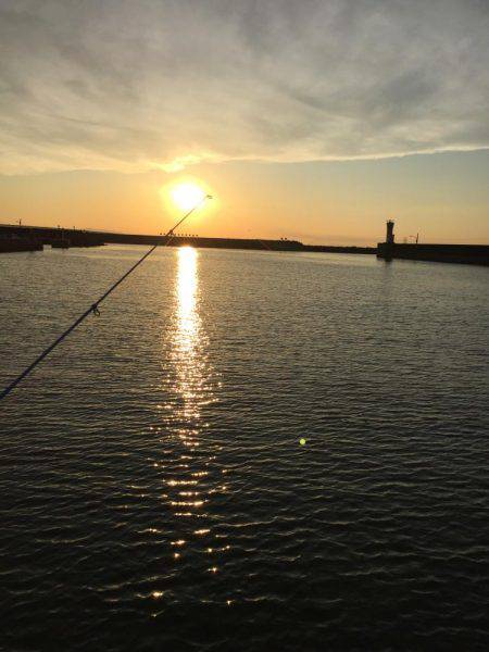 仕事終わりからの