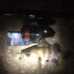 今シーズン一番