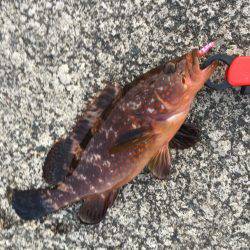 デイメバリングでラッキーな外道