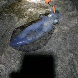 初のキロアップ