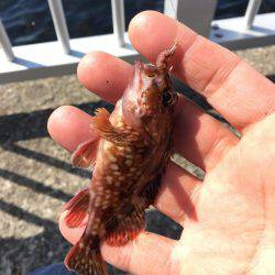 アブ新はどこ？