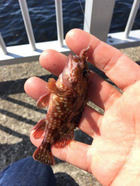 アブ新はどこ？