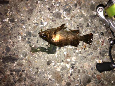 趣向を変えて‥