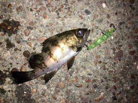 会社帰りプラッキング