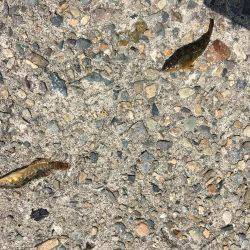 やっとこさアブ新