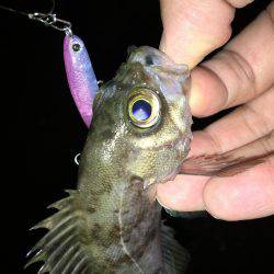 会社帰りプチプラッキング