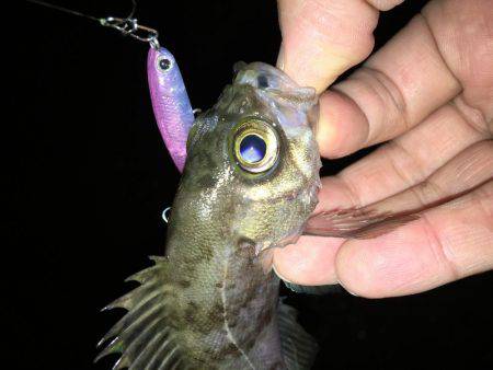 会社帰りプチプラッキング