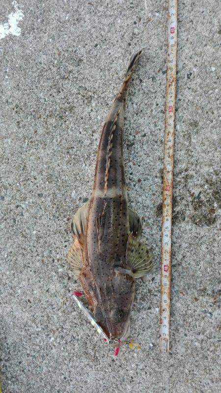 サーフジギング