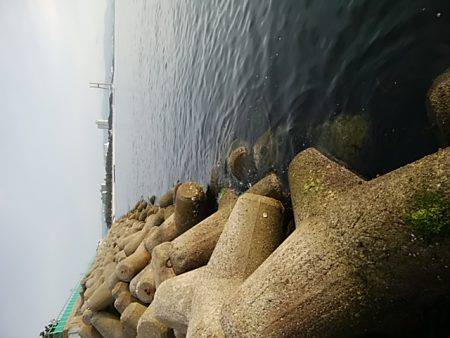 穴釣りのちメバリング