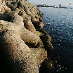 メバリング微妙