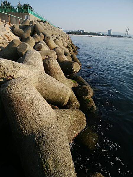 メバリング微妙