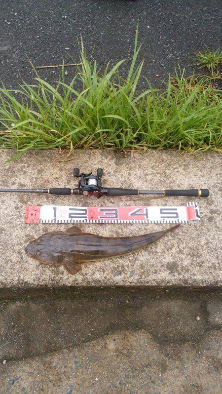 マゴチ好調 続報