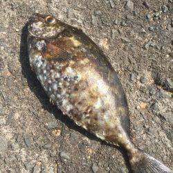 いろんな釣りを楽しんだ