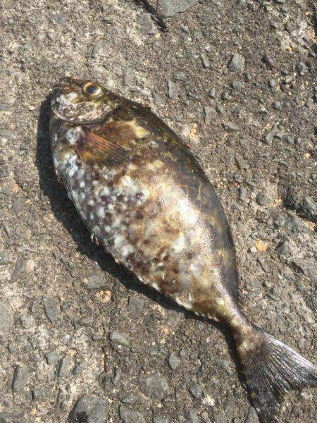 いろんな釣りを楽しんだ