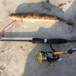 ライトショアジギング ガシリング