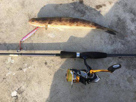 ライトショアジギング ガシリング