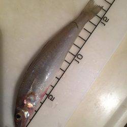 ライトライトライト