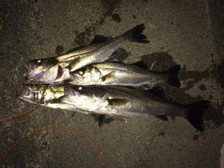 河川のボイル打ち