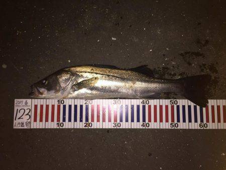 シーズンインの兆し