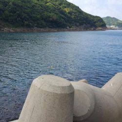 エギングに来たはずが...