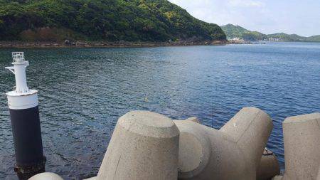 エギングに来たはずが...