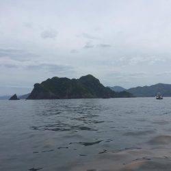 舞鶴五目釣り 大物あり