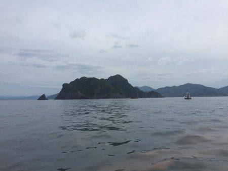 舞鶴五目釣り 大物あり