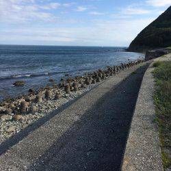 ロックフィッシュ