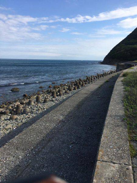 ロックフィッシュ